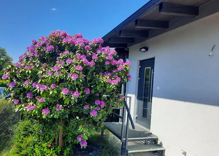 Bungalov Na Brehu Labe S Vlastnim Molem