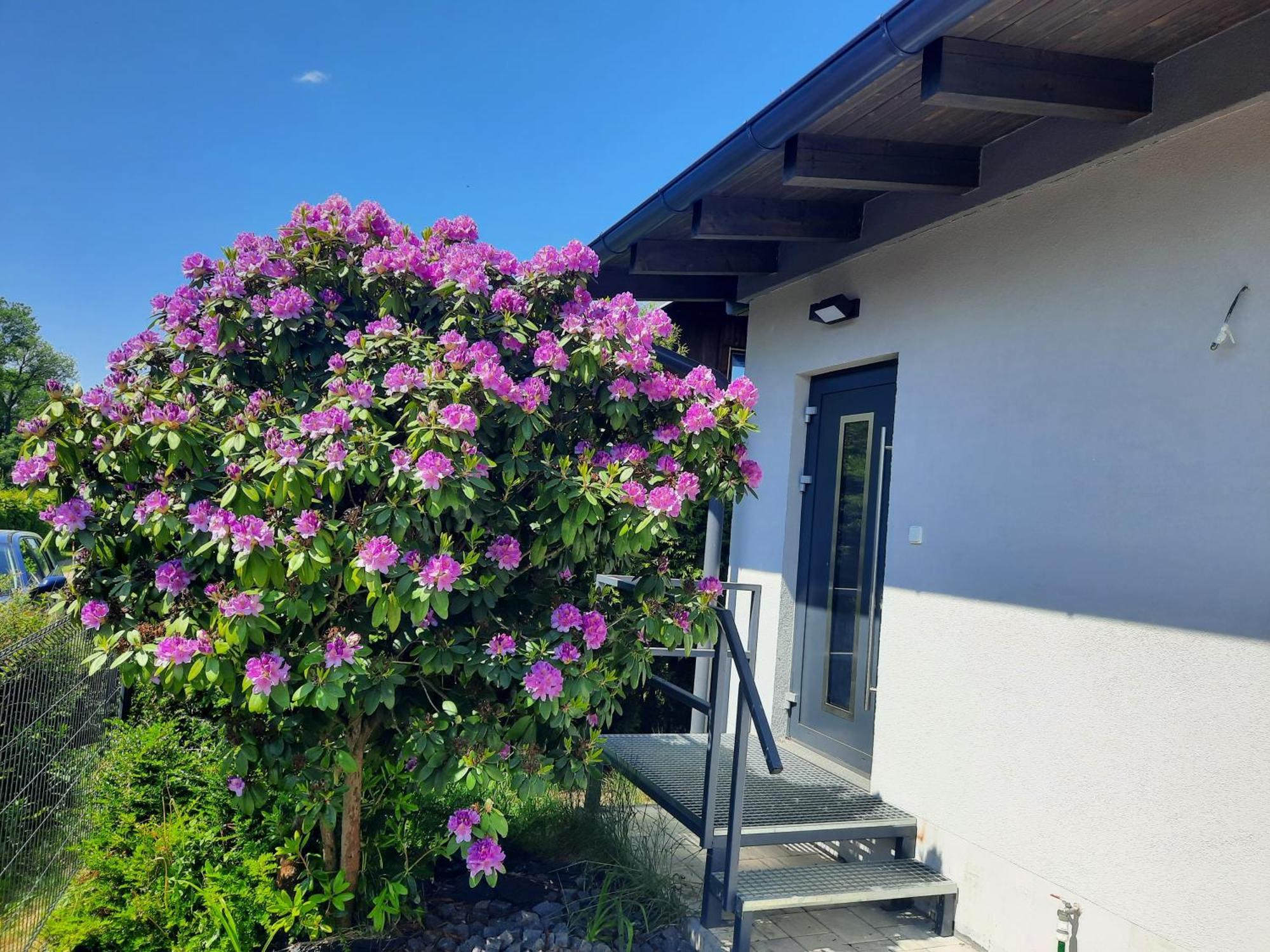 Na Brehu Labe S Vlastnim Molem Holiday home